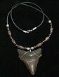 Megalodon Tooth Necklace #8503-1